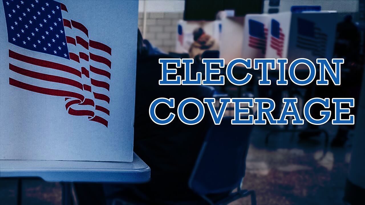Texas heads to the polls during early voting for primary election runoffs - Vimarsana News